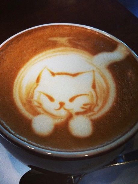 Sweet Kitten Latte Art